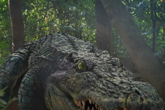 Crocodile Island - Szenenbild 1