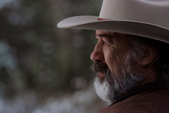 Mein Traum zu Weihnachten - Szenenbild 5