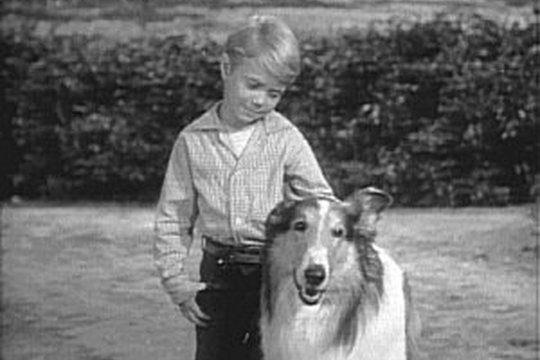 Lassie - Volume 1 - Szenenbild 4