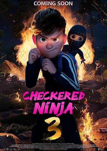Der karierte Ninja 3 - Poster 3