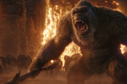 Godzilla x Kong - The New Empire - Szenenbild 16