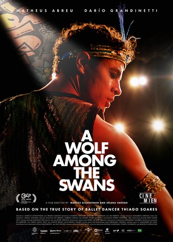 A Wolf Among the Swans - Poster 1