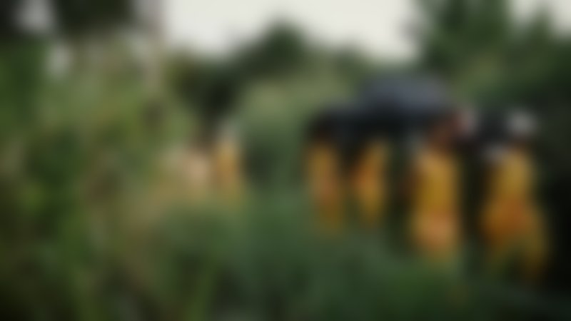 African Kung-Fu Nazis - Trailer - Englisch - HD