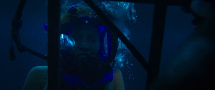 47 Meters Down Fin Du Film Spoiler 47 Meters Down: DVD, Blu-ray oder VoD leihen - VIDEOBUSTER.de