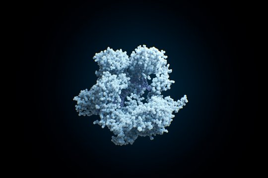 Human Nature - Die CRISPR Revolution - Szenenbild 2