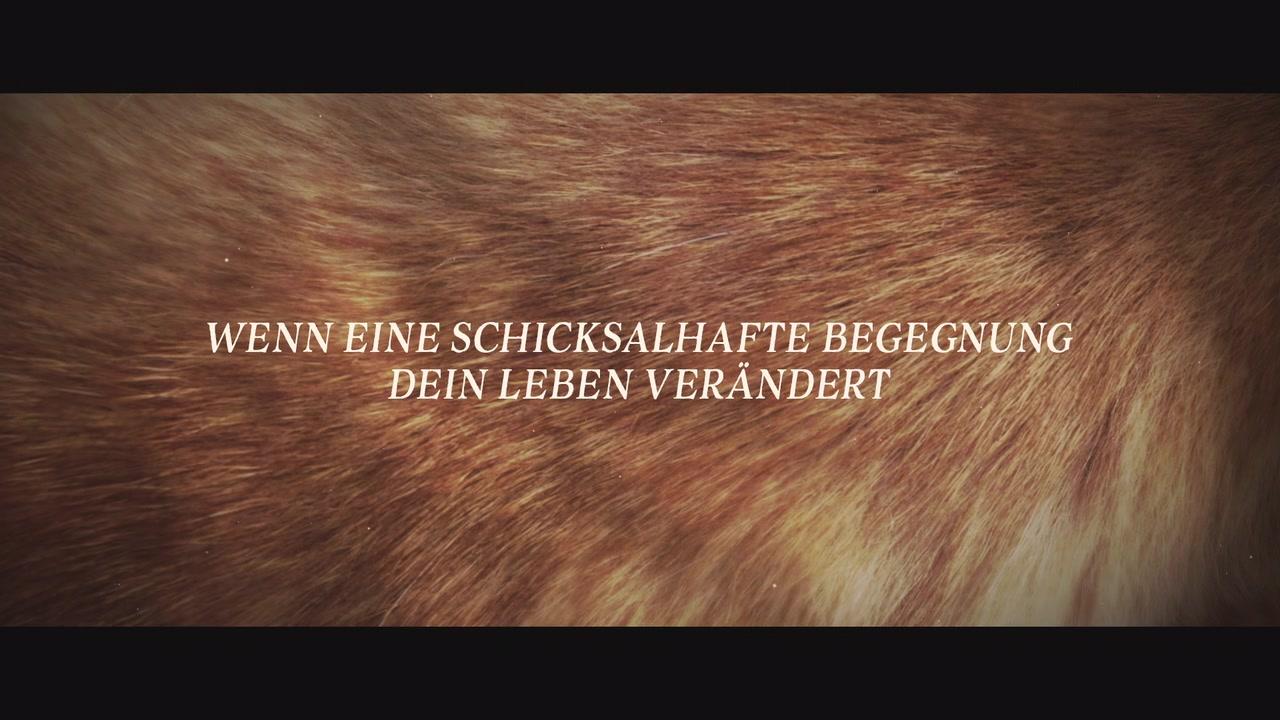 Hachiko - Eine Freundschaft für die Ewigkeit - Trailer - Deutsch