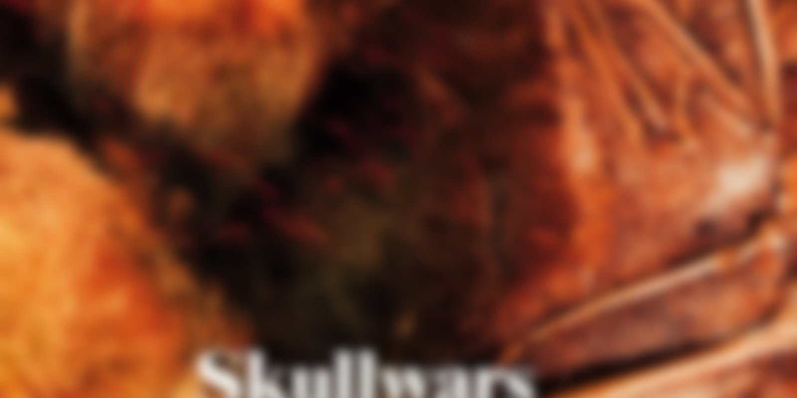 Discovery Geschichte - Skullwars