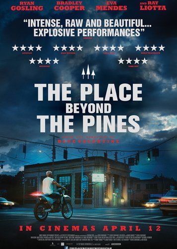 The Place Beyond the Pines - Poster 9