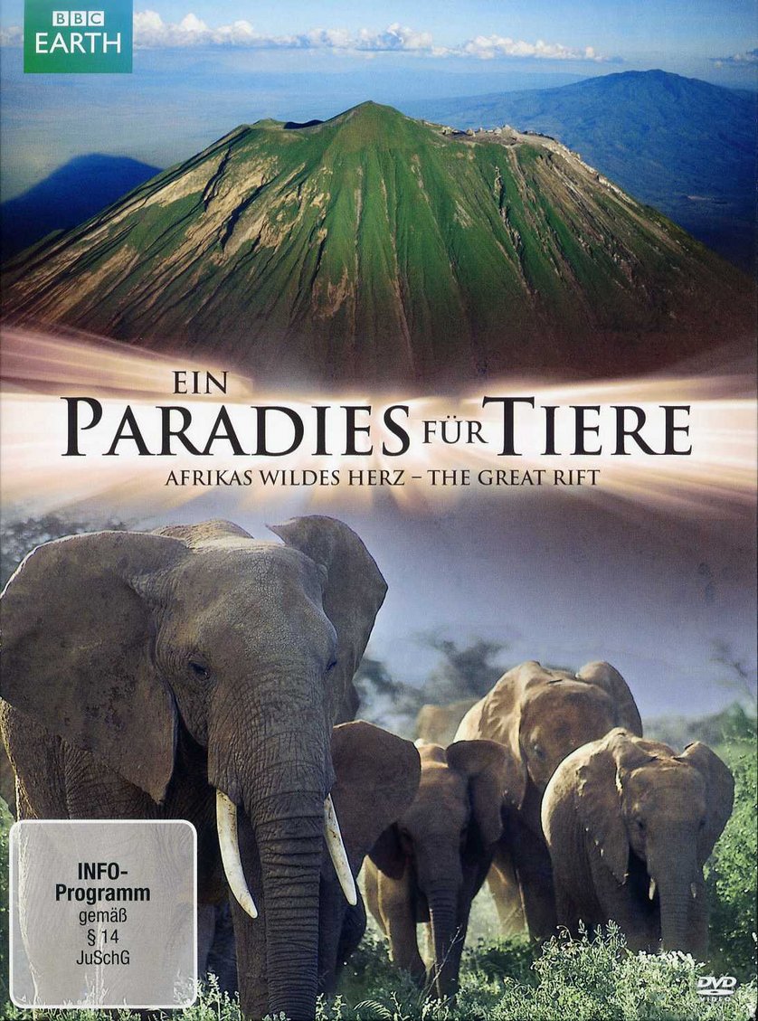 wildes herz film wildes herz film