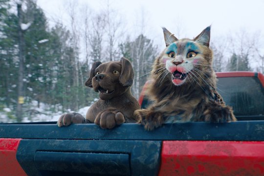 Miau & Wau - Szenenbild 3