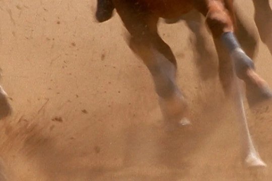 Il Palio - Das Rennen von Siena - Szenenbild 5