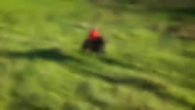 Die Pawlaks - Trailer - Deutsch - SD