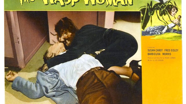 The Wasp Woman - Wallpaper 4