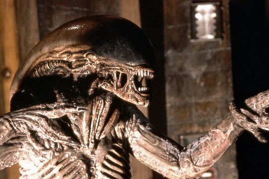 Alien 3 - Szenenbild 15