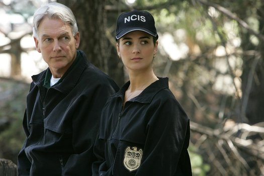 Ncis Navy Cis Staffel 6 Dvd Oder Blu Ray Leihen Videobuster De