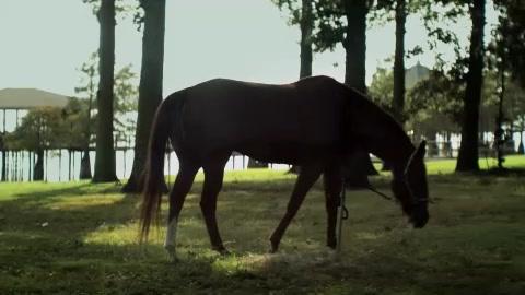 Straight A's - Trailer - Englisch - SD