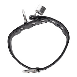 Lederhalsband mit Metall und Schloss