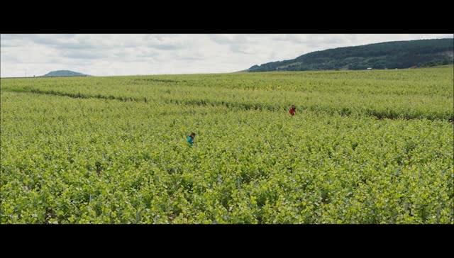 Der Wein und der Wind - Trailer - Deutsch - SD