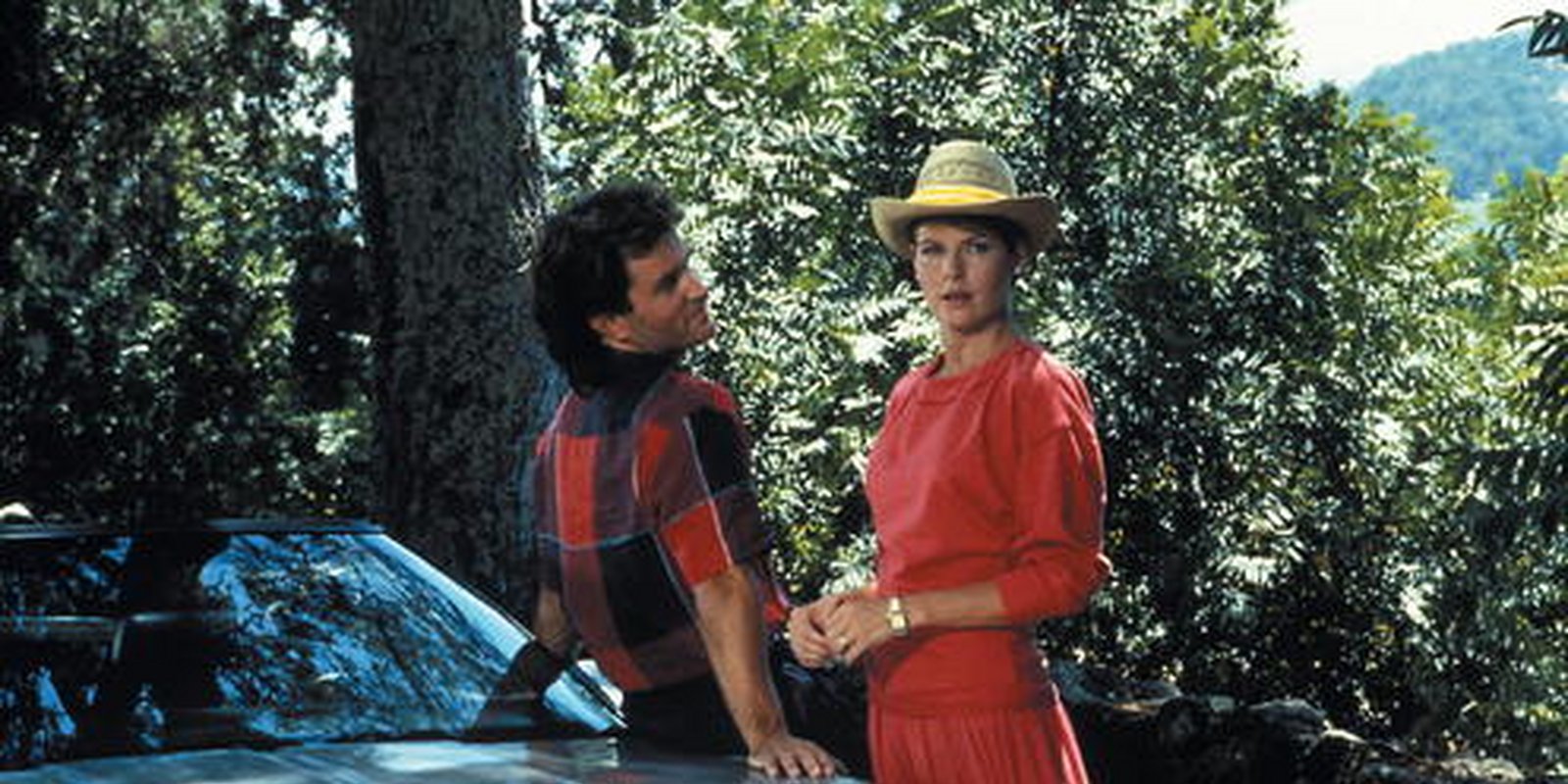 Falcon Crest - Staffel 1