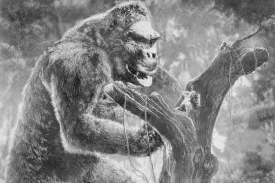 King Kong und die weiße Frau - Szenenbild 3