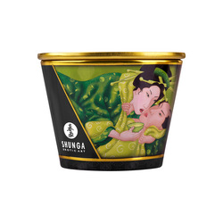 Exotic Green Tea, 170 ml