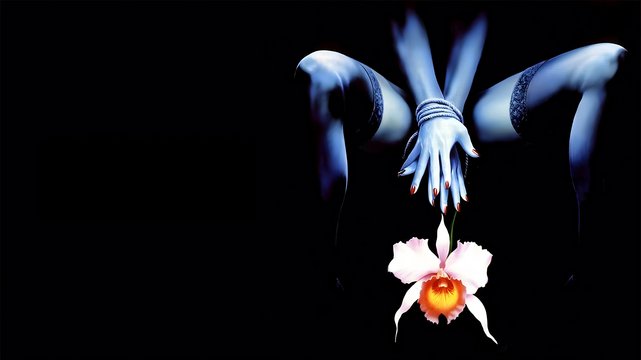 Wilde Orchidee 2 - Wallpaper 1