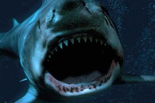 Great White Waters - Szenenbild 2