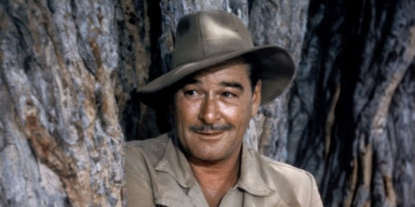 Die Wurzeln des Himmels