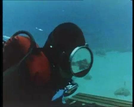 Barracuda - Trailer - Französisch - SD