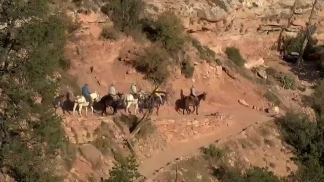 Weltnaturerbe USA - Grand Canyon Nationalpark - Trailer - Deutsch - SD
