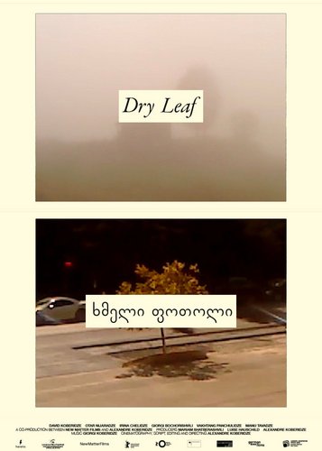 Dry Leaf - Poster 6