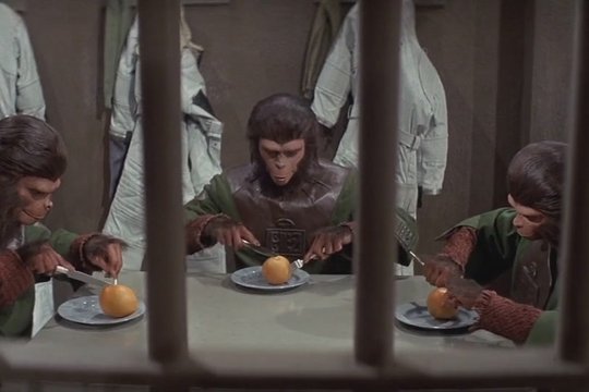 Flucht vom Planet der Affen - Szenenbild 2