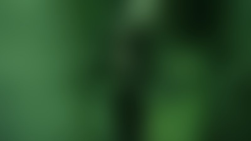 Exists - Trailer - Englisch - SD