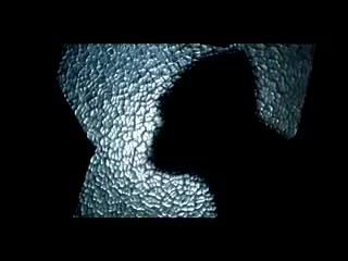The Lost Planet - Trailer - Deutsch - SD