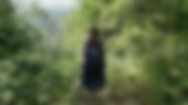Das Phantom der Oper - Trailer - Englisch - SD