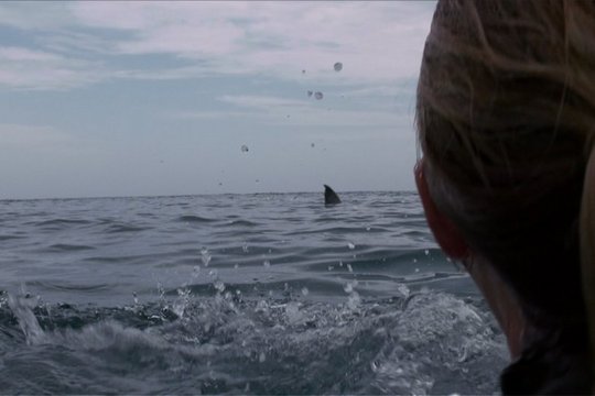 Open Water 3 - Cage Dive - Szenenbild 7