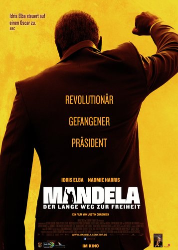 Mandela - Der lange Weg zur Freiheit - Poster 1