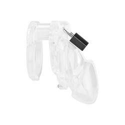 Chastity Standard