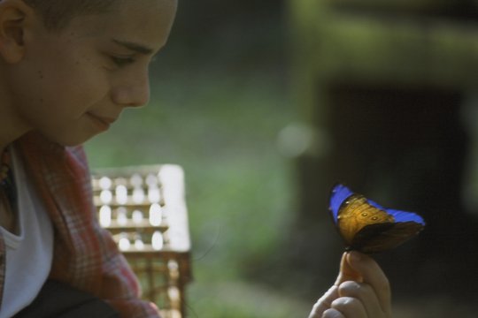 Das Geheimnis des blauen Schmetterlings - Szenenbild 2
