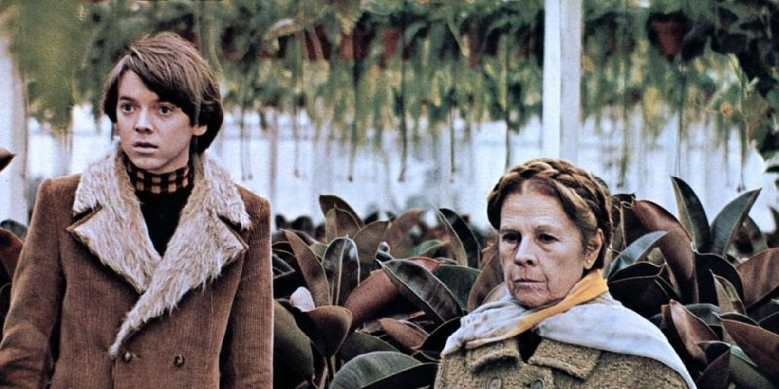 Harold und Maude