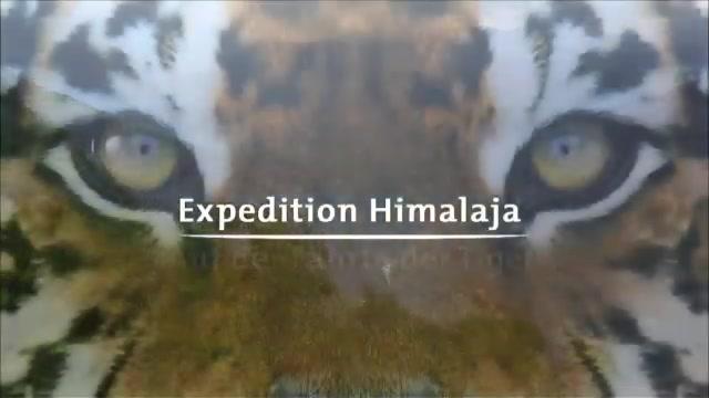 Expedition Himalaja - Trailer - Deutsch