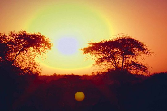 African Safari Adventure - Szenenbild 12