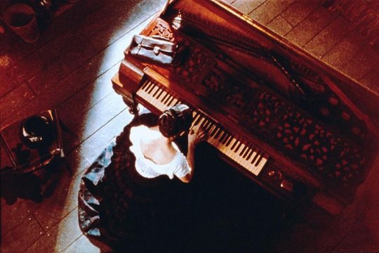 Das Piano - Szenenbild 10