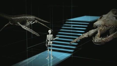 IMAX - Sea Rex 3D - Trailer - Englisch - SD