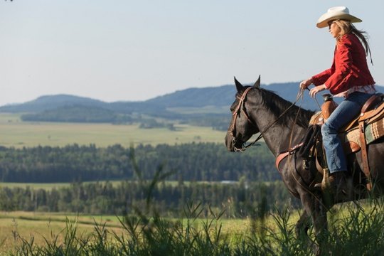 Heartland - Paradies für Pferde - Staffel 6 - Szenenbild 5