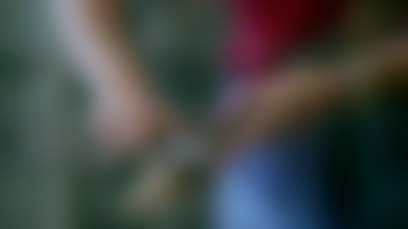 Killer Ants - Trailer - Deutsch - SD