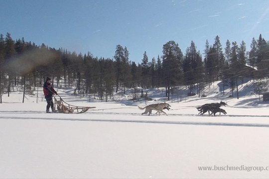 Lapland Snow Adventure - Szenenbild 5