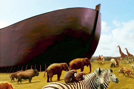 Arche Noah - Szenenbild 2