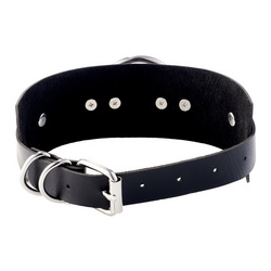 O-Ring Front Collar