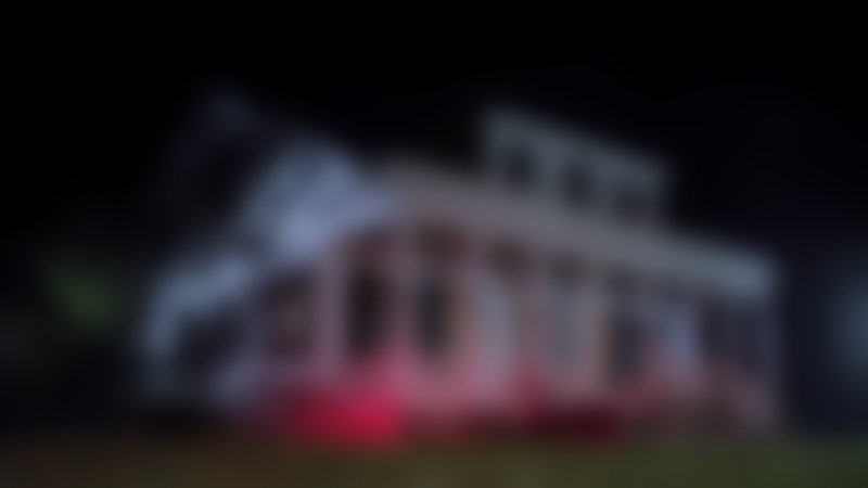 Night of the Wild - Trailer - Englisch - HD